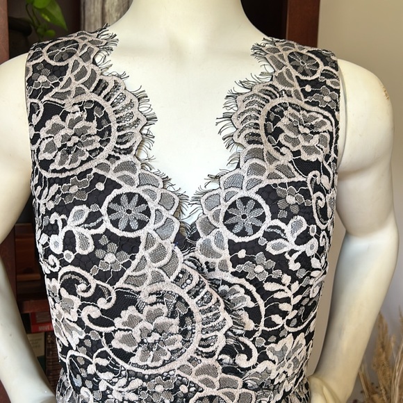 Erin Featherson Lace V Neck Cocktail Dress - Picture 3 of 15